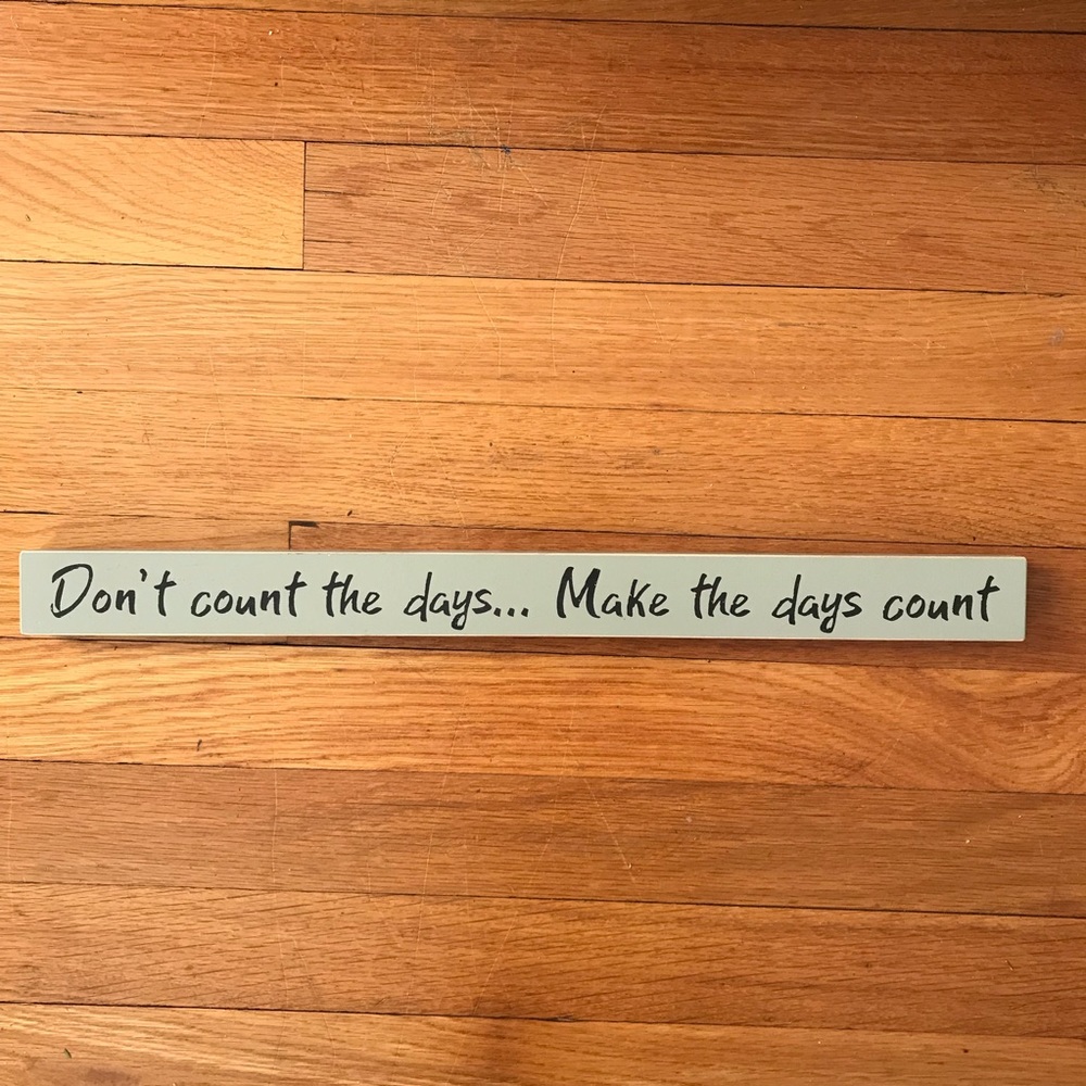 NWOT Quote Don’t Count The Days Wood Painted Block
